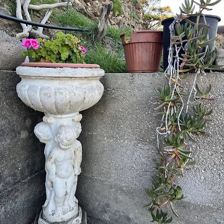 Il Mirto Ponza