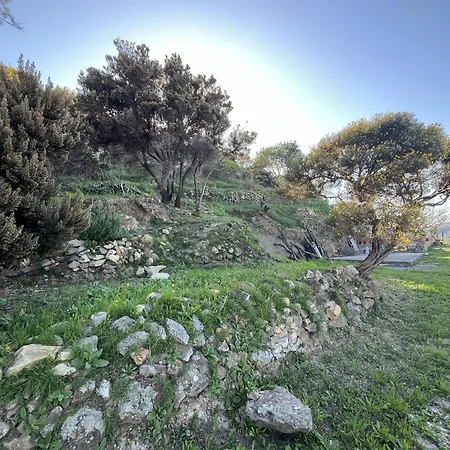 Casa vacanze Il Mirto Ponza
